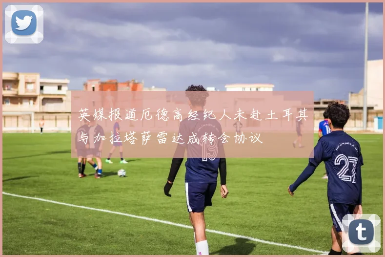英媒报道厄德高经纪人未赴土耳其与加拉塔萨雷达成转会协议