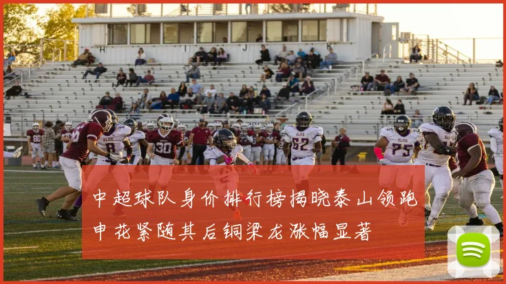 中超球队身价排行榜揭晓泰山领跑申花紧随其后铜梁龙涨幅显著